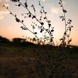 Meet your Posher, Chloe